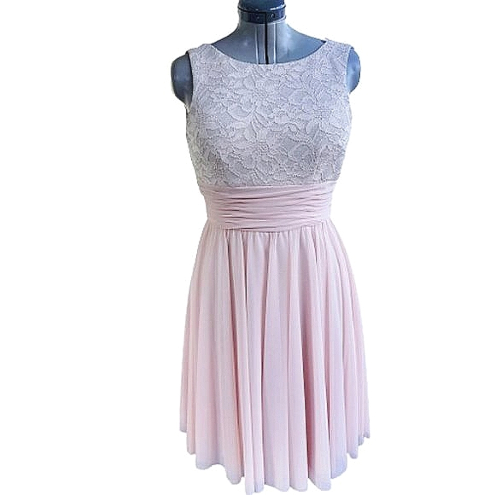 JH Pink Blush Sleeveless Lace Chiffon Coquette Feminine Petal Pink Dress ♥️